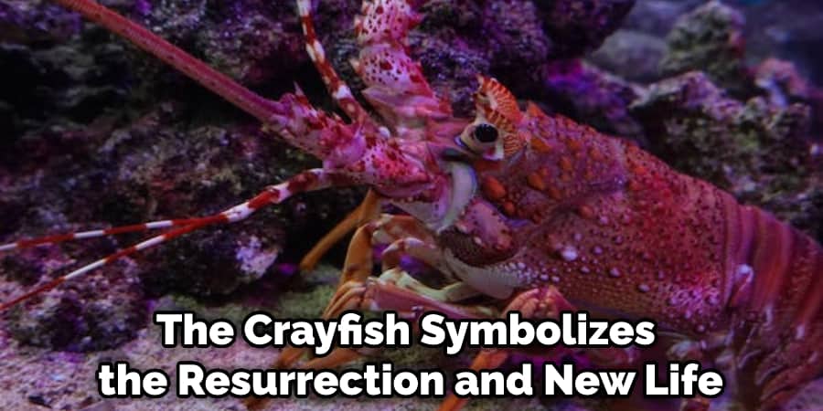 The Crayfish Symbolizes the Resurrection and New Life