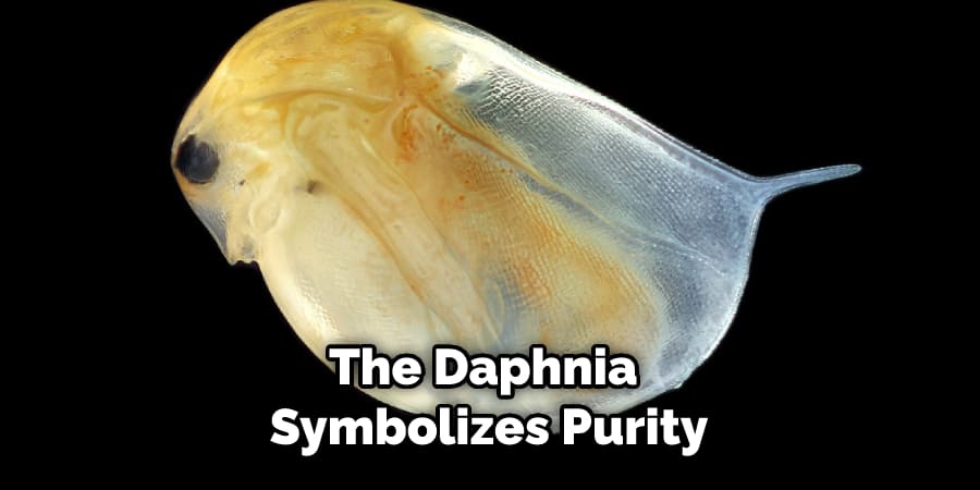 The Daphnia Symbolizes Purity