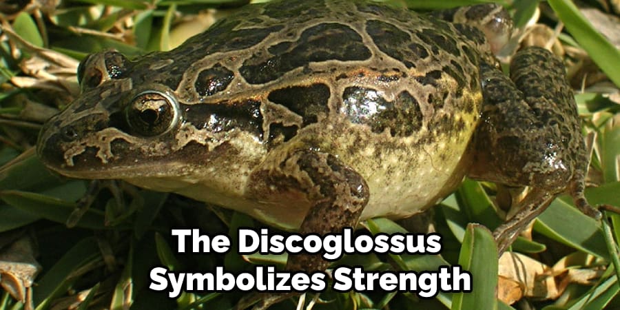 The Discoglossus Symbolizes Strength