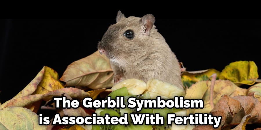 The Gerbil Symbolism is Associated With Fertility