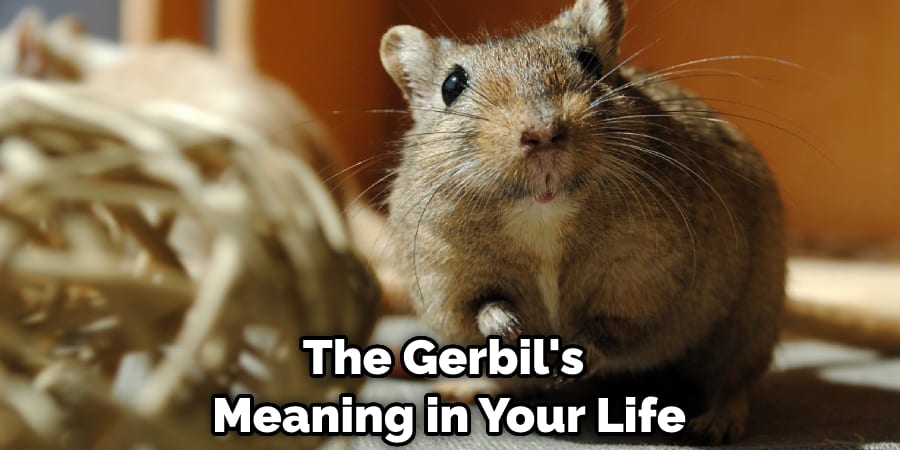 The Gerbil's Meaning in Your Life