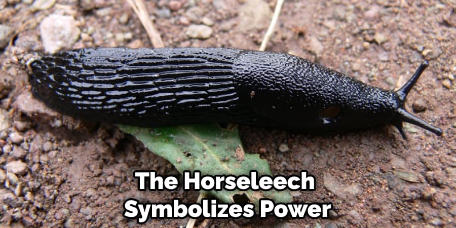 The Horseleech Symbolizes Power