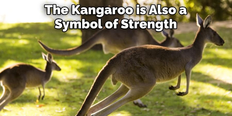 The Kangaroo is Also a  Symbol of Strength