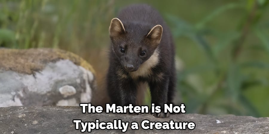 The Marten is Not Typically a Creature