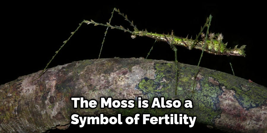 moss is also a symbol of fertility