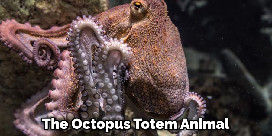 The Octopus Totem Animal