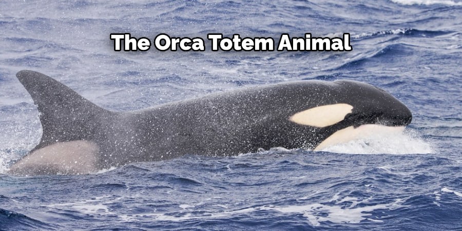The Orca Totem Animal
