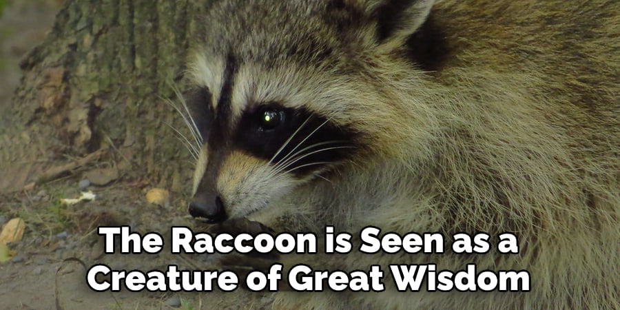 The Raccoon is Seen as a  Creature of Great Wisdom