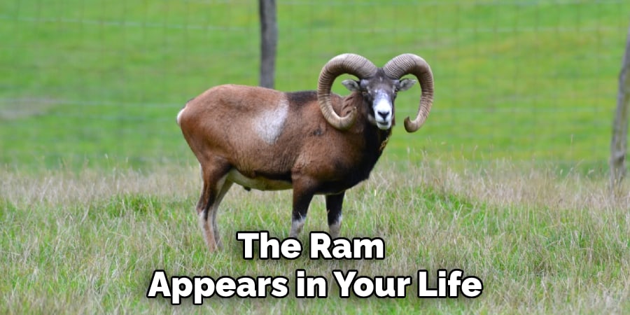 The Ram Appears in Your Life
