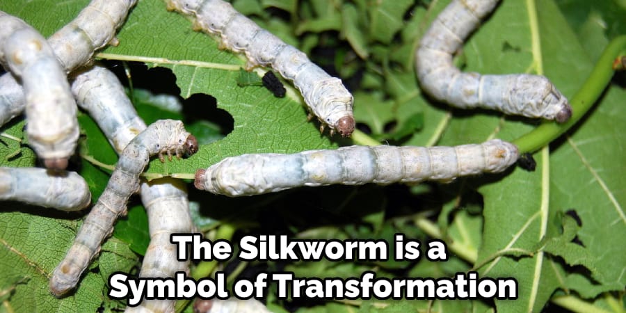 The Silkworm is a Symbol of Transformation