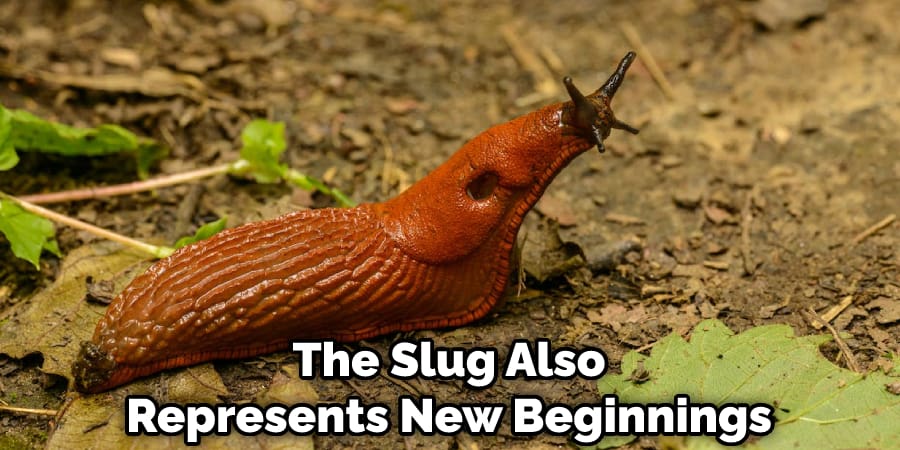 The Slug Also Represents New Beginnings