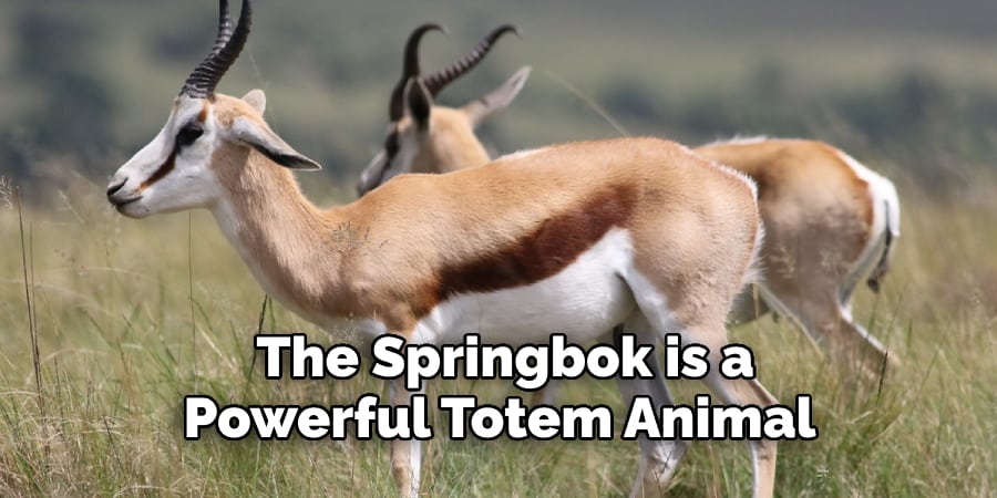 The Springbok is a  Powerful Totem Animal 