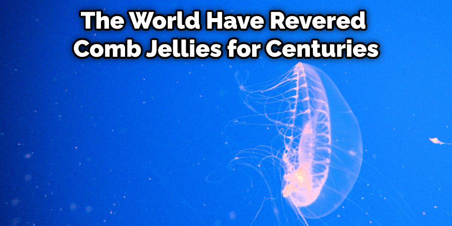 The World Have Revered  Comb Jellies for Centuries