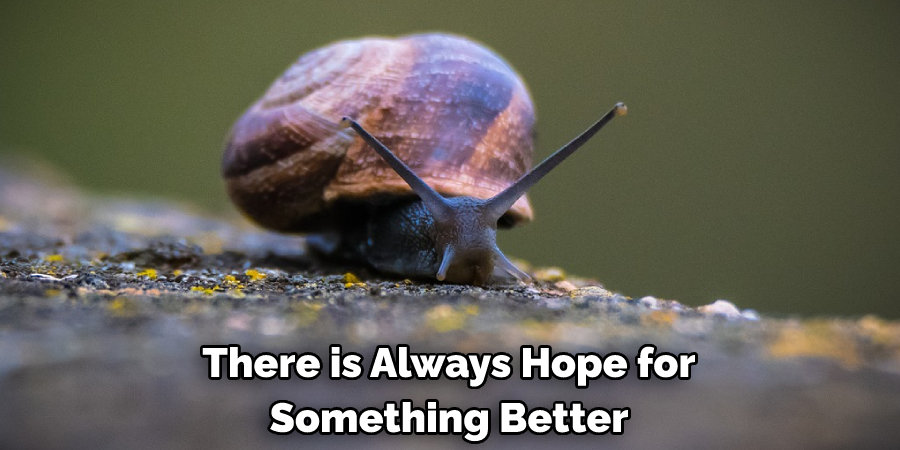 There is Always Hope for Something Better