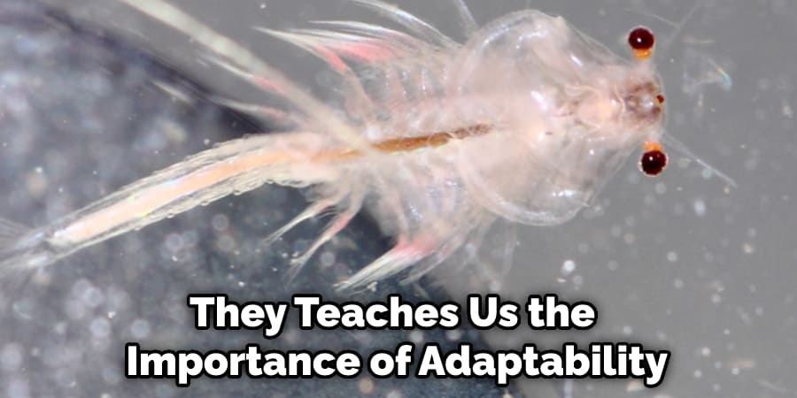 They Teaches Us the Importance of Adaptability