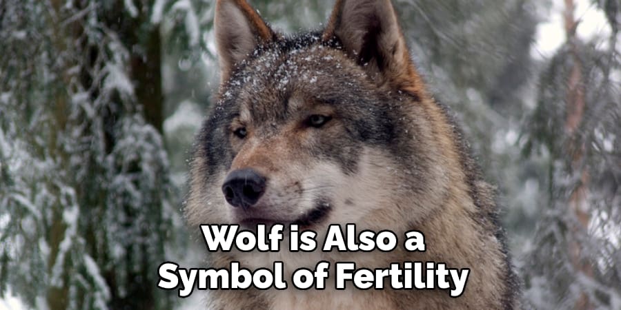 Wolf is Also a Symbol of Fertility
