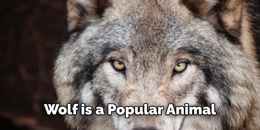 Wolf is a Popular Animal