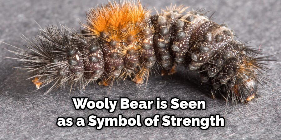 Wooly Bear is Seen as a Symbol of Strength