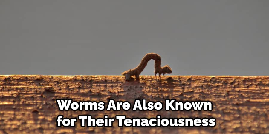 Worms Are Also Known for Their Tenaciousness
