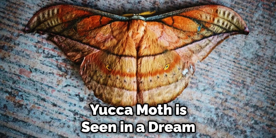 Yucca Moth is Seen in a Dream