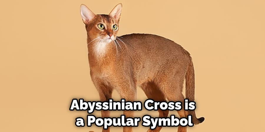 Abyssinian Cross is a Popular Symbol