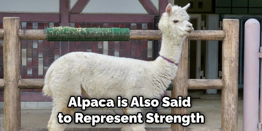 Alpaca is Also Said to Represent Strength
