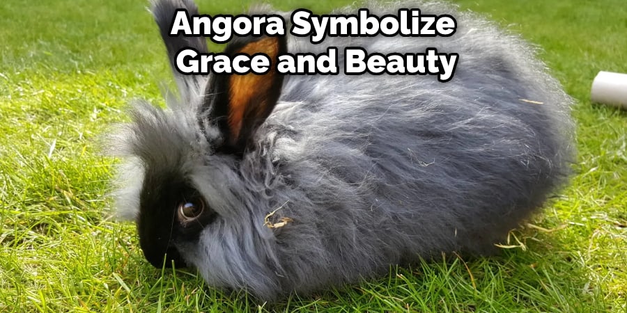 Angora Symbolizes Grace and Beauty