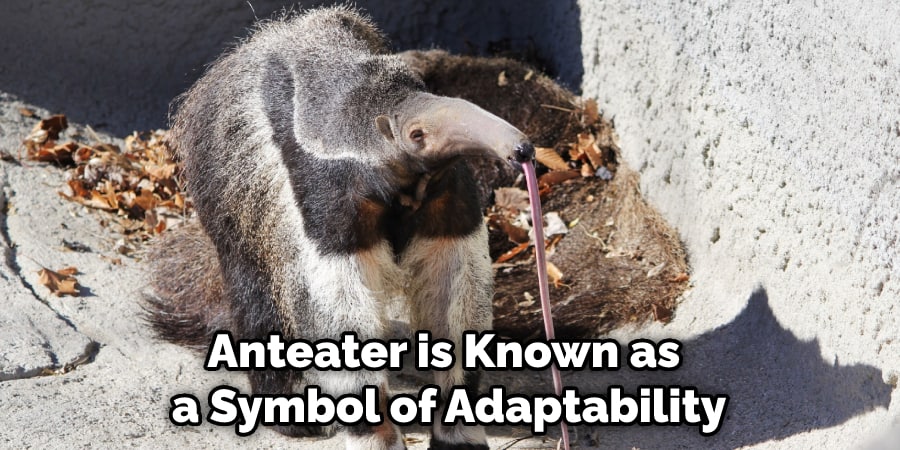 Anteater is Known as a Symbol of Adaptability
