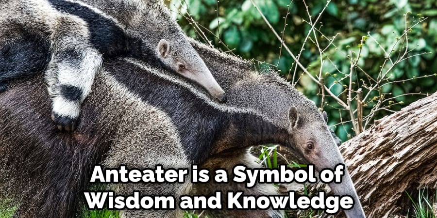 Anteater is a Symbol of Wisdom and Knowledge