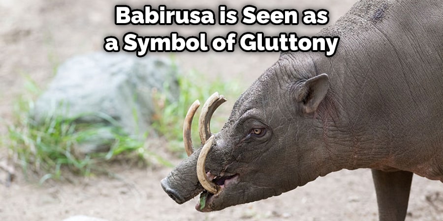 Babirusa is Seen as a Symbol of Gluttony