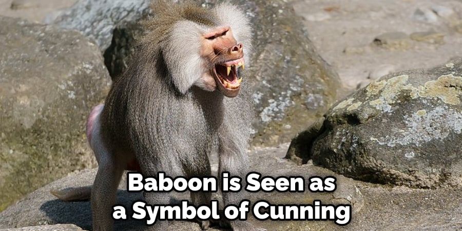 Baboon is Seen as a Symbol of Cunning 