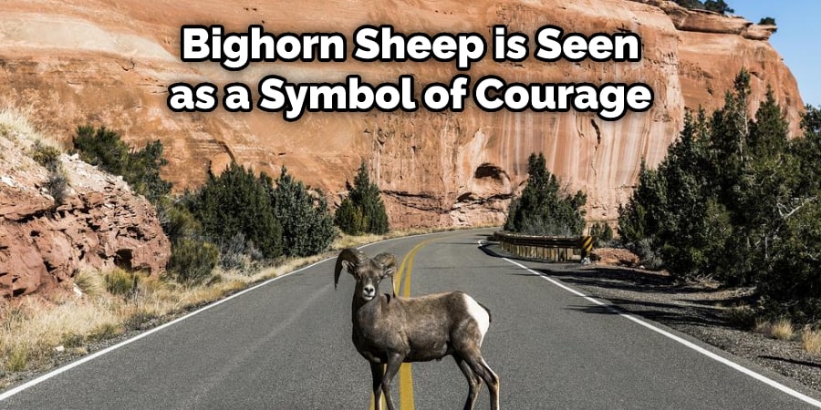 Bighorn Sheep is Seen as a Symbol of Courage