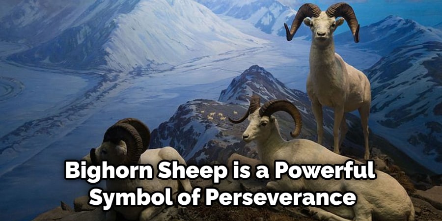 Bighorn Sheep is a Powerful Symbol of Perseverance