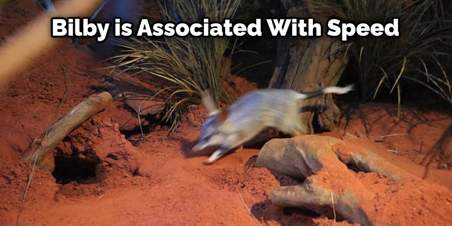 Bilby is Associated With Speed