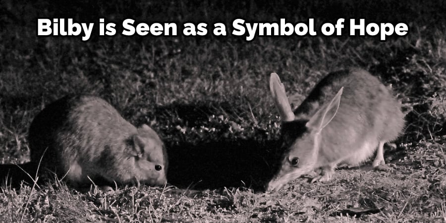Bilby is Seen as a Symbol of Hope
