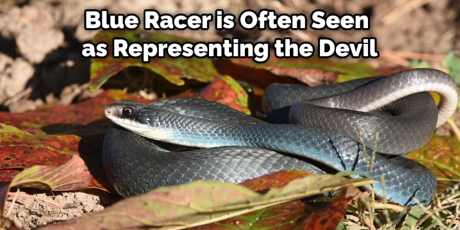 Blue Racer is Often Seen as Representing the Devil