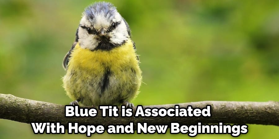Blue Tit is Also Associated With Hope and New Beginnings