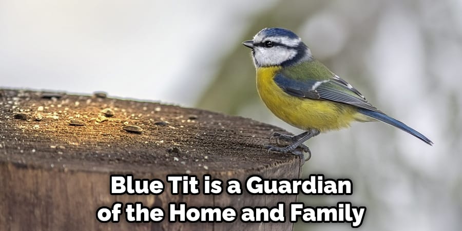  Blue Tit is a Guardian of the Home and Family