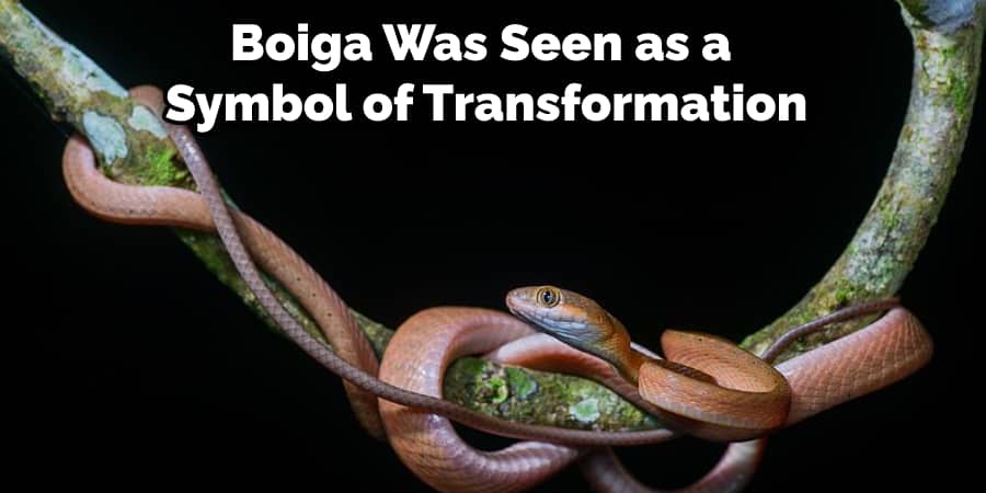 Boiga Was Seen as a Symbol of Transformation