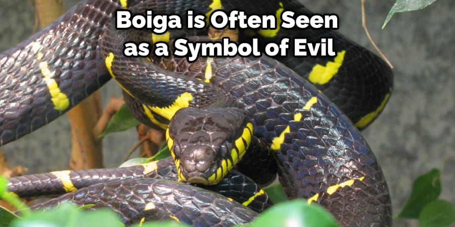 Boiga is Often Seen as a Symbol of Evil