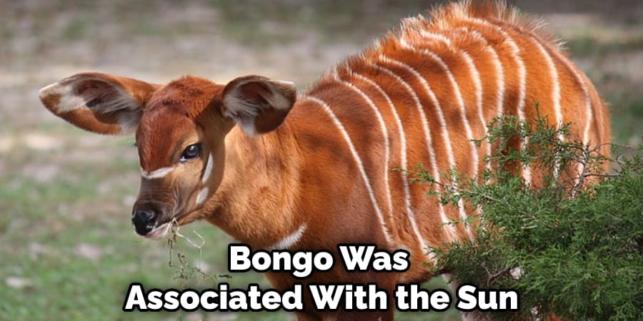 Bongo Was Associated With the Sun