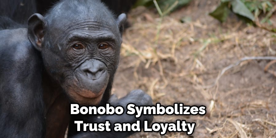 Bonobo Symbolizes Trust and Loyalty 