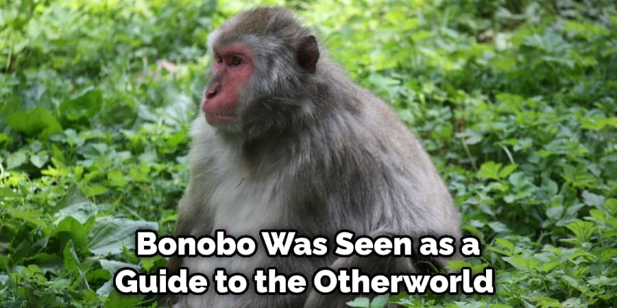   Bonobo Was Seen as a Guide to the Otherworld