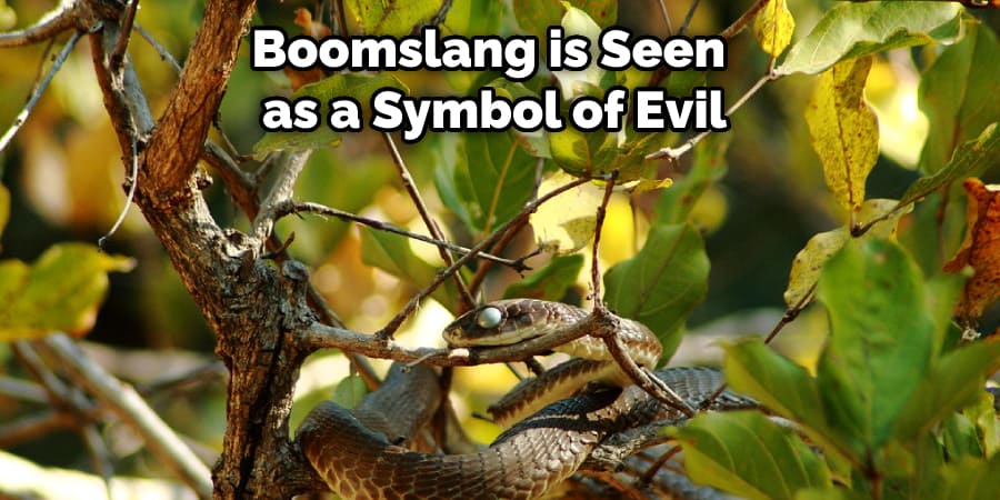 Boomslang is Seen as a Symbol of Evil