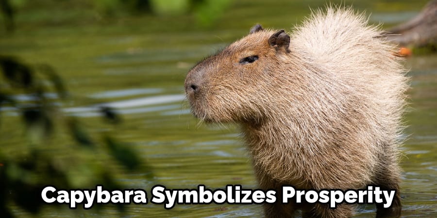  Capybara Symbolizes Prosperity