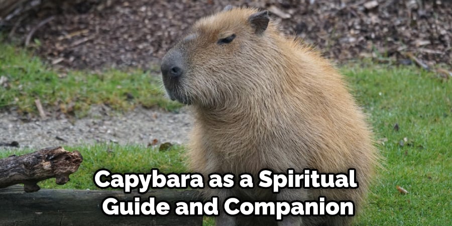 Capybara as a Spiritual Guide and Companion