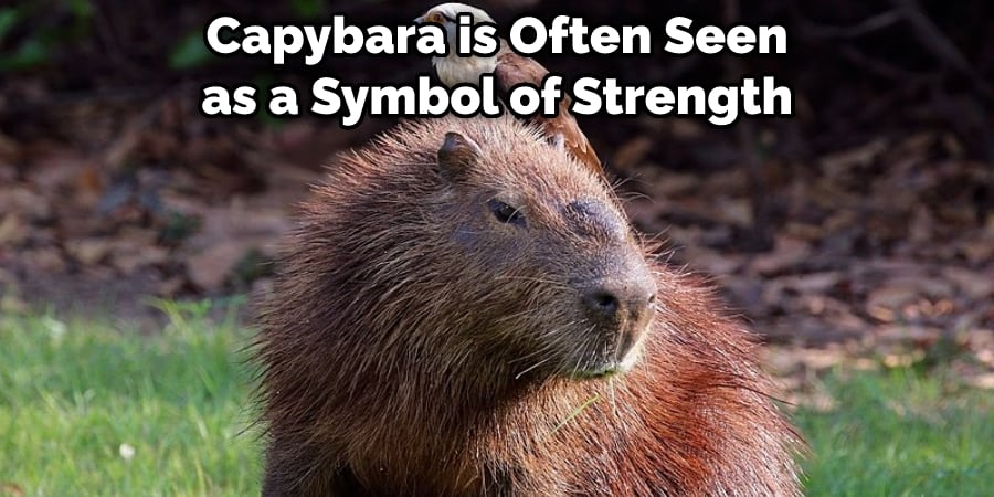  Capybara is Often Seen as a Symbol of Strength