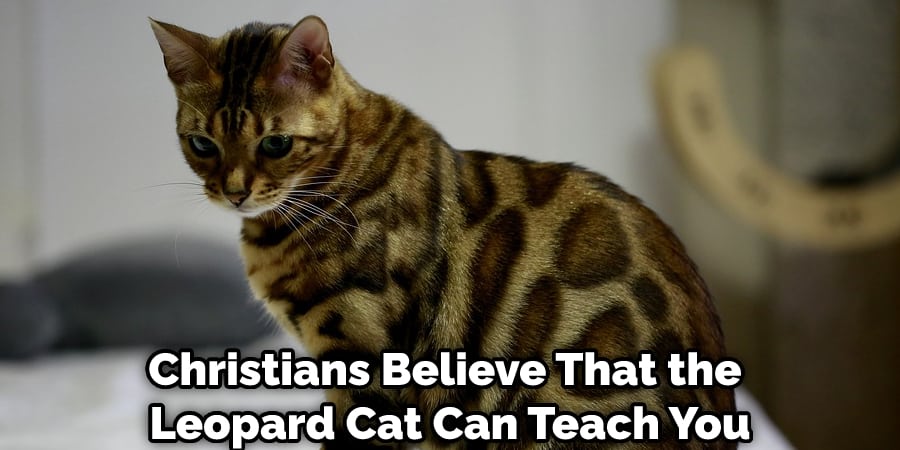 Christians Believe That the Leopard Cat Can Teach You