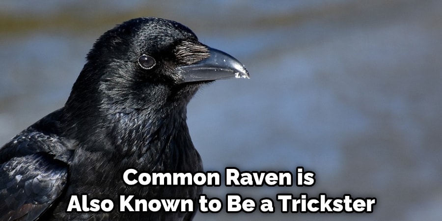 Common Raven is Also Known to Be a Trickster