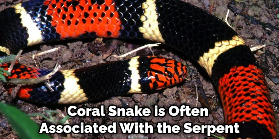 Coral Snake is Often Associated With the Serpent